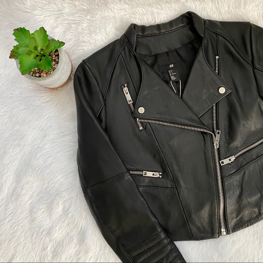 NWT H&M Premium Genuine Real Leather Jacket